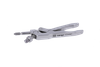 Spinous Protrusion